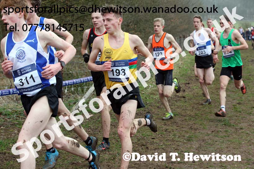 Mens under-20s Inter Counties Cross Country, Prestwold Hall, Loughborough. Photo: David T. Hewitson/Sports for All Pics